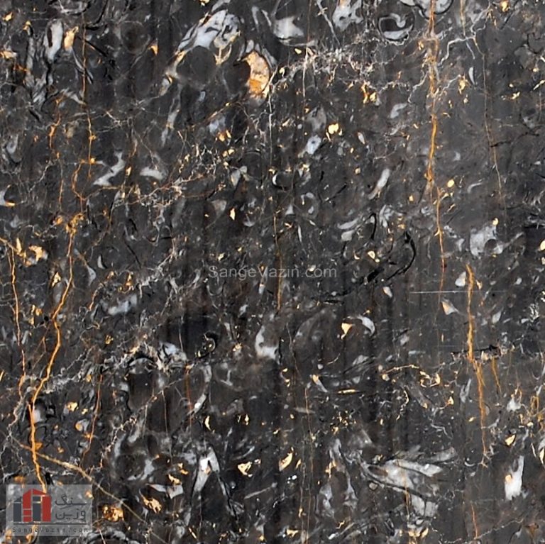 golden-black-marmarite