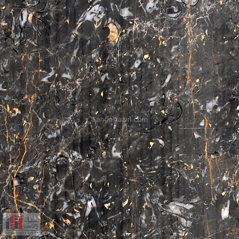 golden-black-marmarite