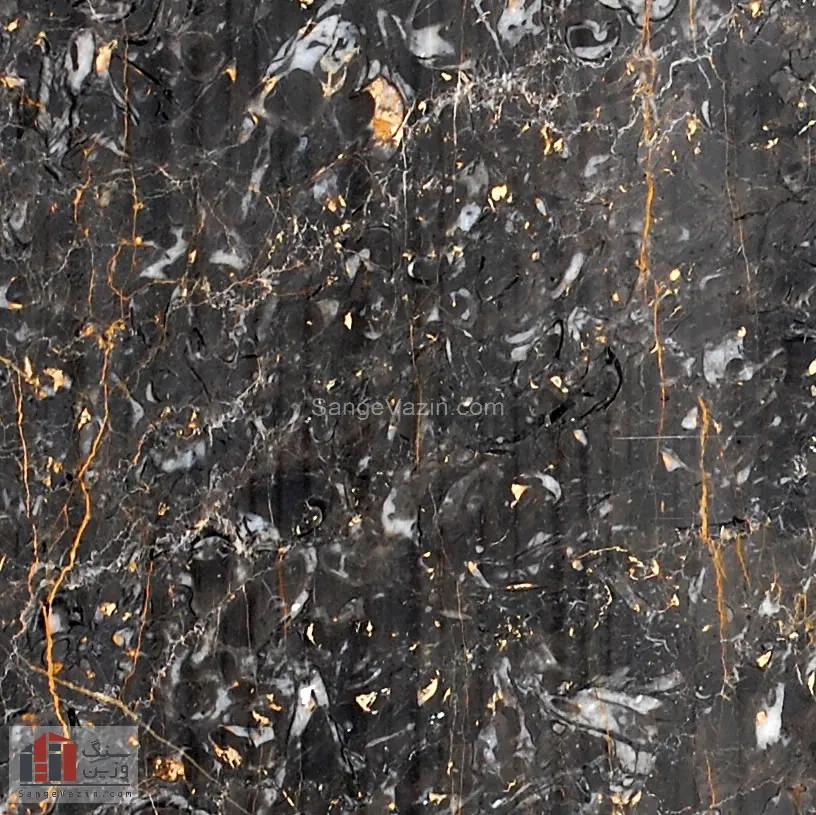 golden-black-marmarite