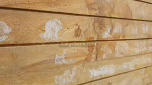 Woody marble efflorescence