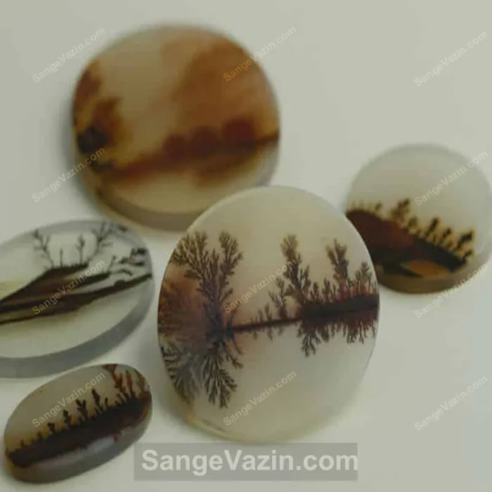 Dendritic Agate