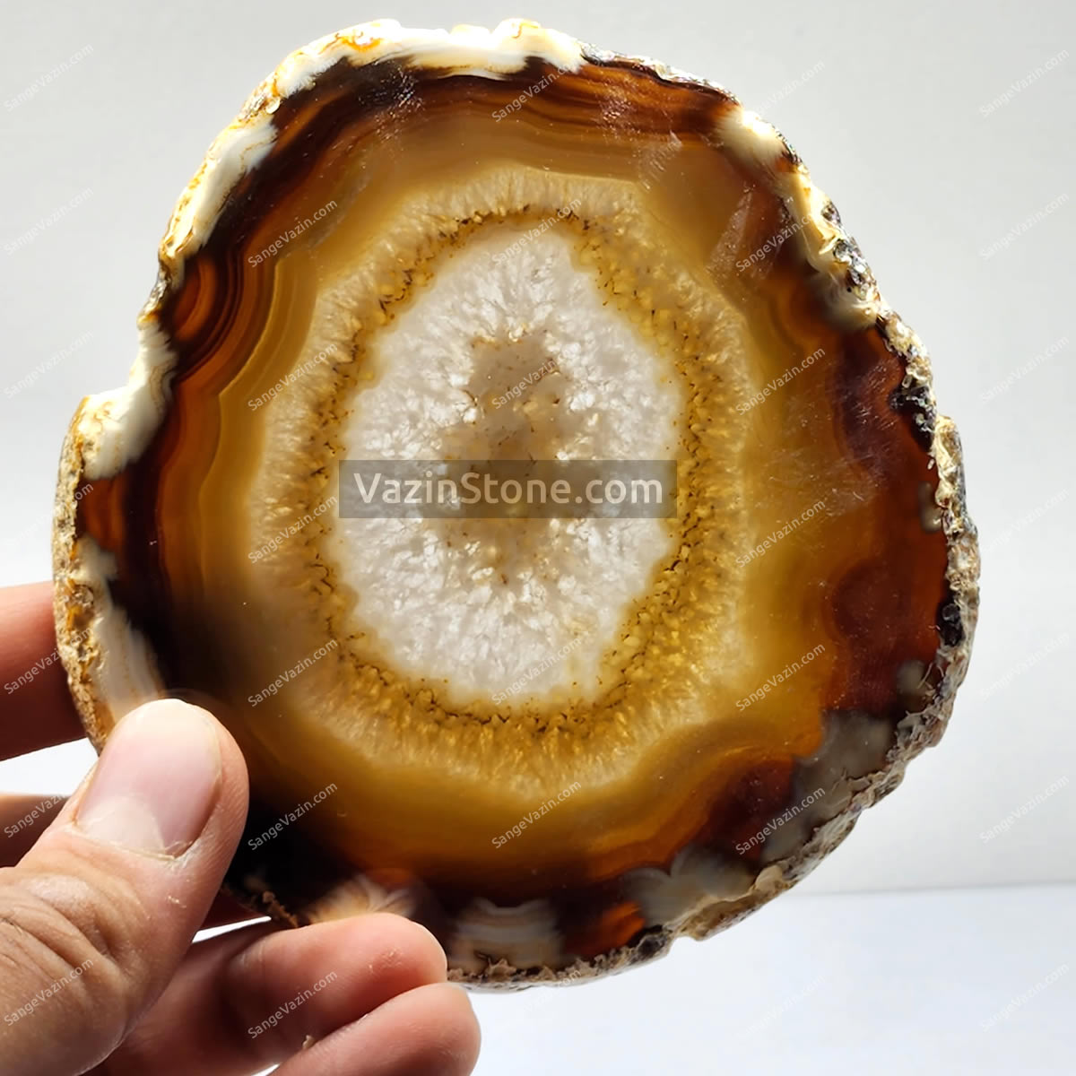 brazil crema brown agate - circle form rough in hand
