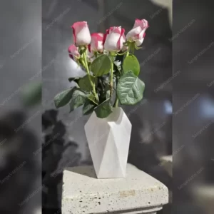 Geometric stone flower pot sample