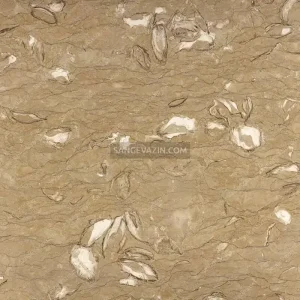 Maysa marble stone texture 