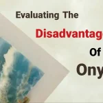 Evaluating The Disadvantages Of Onyx
