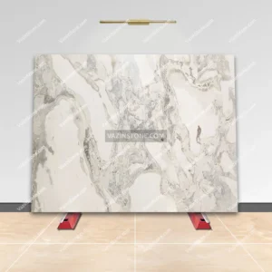 Shell Quartz Slab Stone
