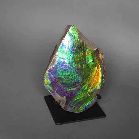 Ammolite stone