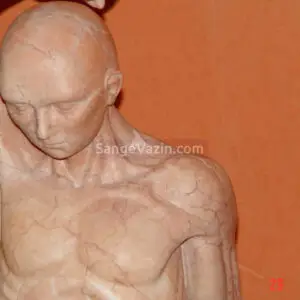 Sculpture of a human body with salsali stone