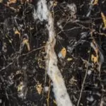 golden black marble stone slab closeup