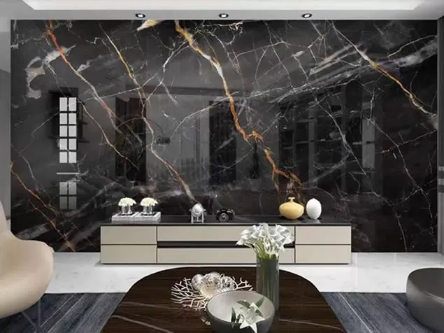 Golden Black marble stone as the wall of the TV room